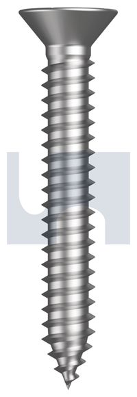 10g x 1" CSK SQ DRIVE STS 304 S/S