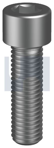 1/4UNC x 1/4" SKT CAPSCREWS BLACK